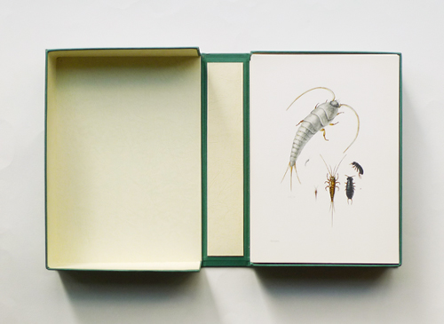 SAMMLUNG NATURKUNDLICHER TAFELN