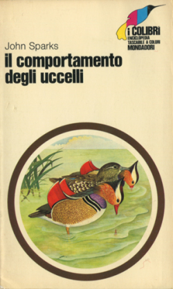 i colibri 10