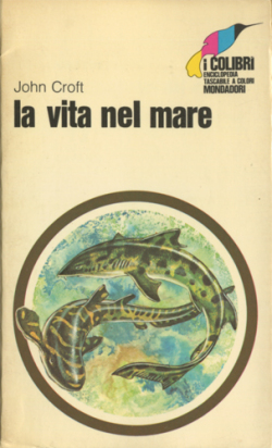 i colibri 15