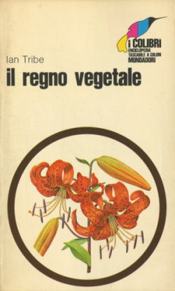 i colibri 19