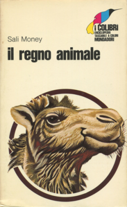 i colibri 20