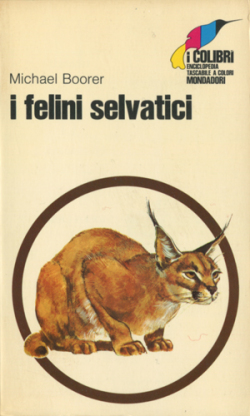 i colibri4