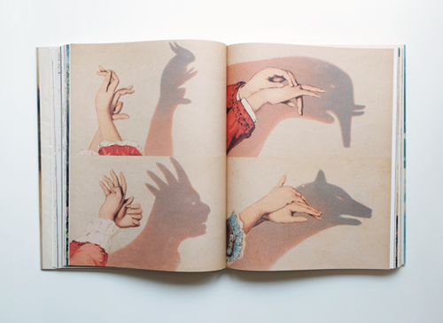 John Derian: Picture Book