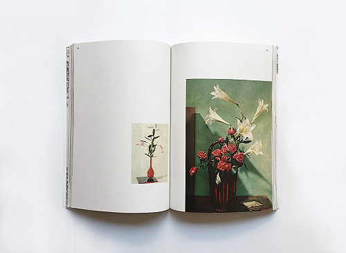 Andrea Salerno & Yeliz Secerli: Arranging Flower Arranging