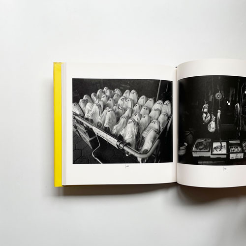 田中長徳　ウィーン・ニューヨーク・新潟