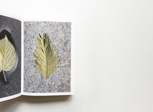 Anne Geene: Book of Plants