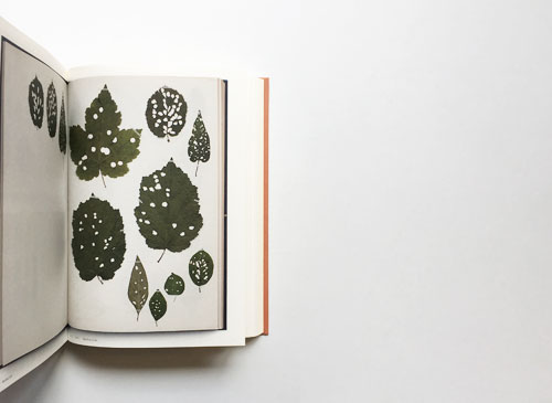 Anne Geene: Book of Plants