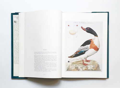 Classic Natural History Prints, Bird