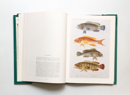 Classic Natural History Prints, Fish