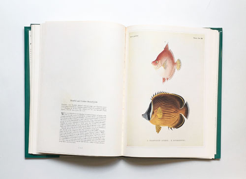 Classic Natural History Prints, Fish