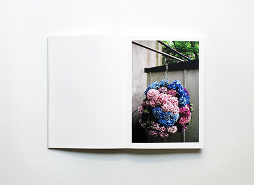 Yoshinori Mizutani: Colors