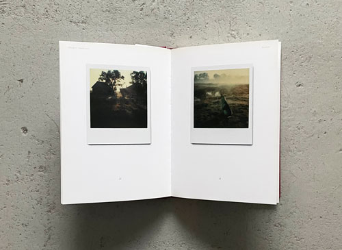 Andrey Tarkovsky: Instant Light [Softcover]