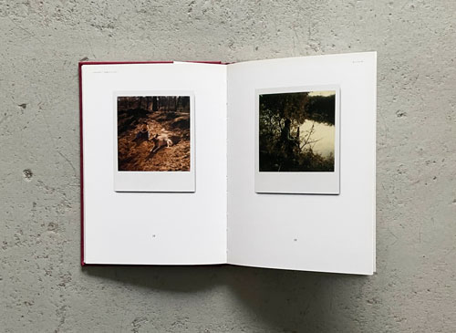 Andrey Tarkovsky: Instant Light [Softcover]