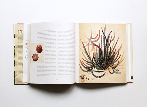 Flora: An Artistic Voyage Through the World of Plants