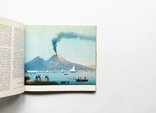 Volcanoese [Encyclopedie essentielle シリーズ]