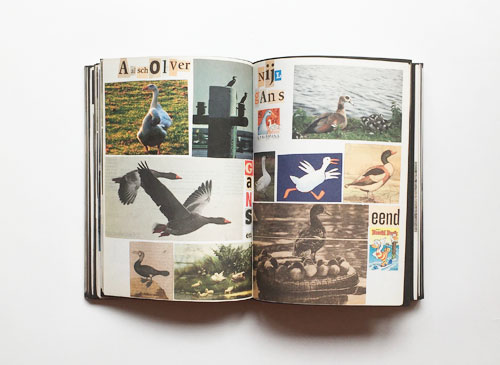 Lous Martens: Animal Books for