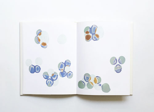 Nora Schattauer: Salts