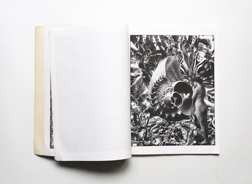 Magpie Reveries: The Iconographic Mandalas of James Koehnline