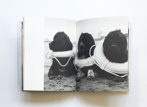 Bruce Weber: Gentle Giants A Book of Newfoundlands