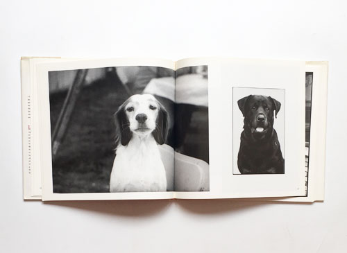 Jill Freedman: Jill's Dogs