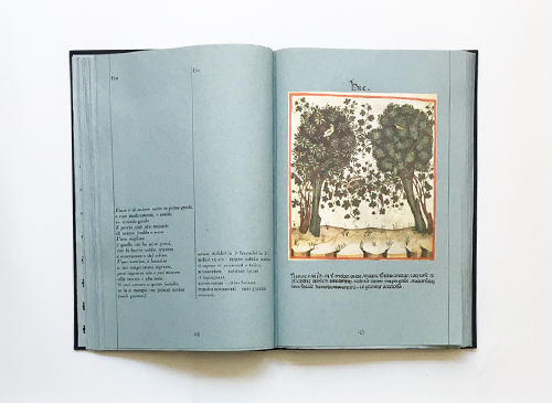 Theatrum Sanitatis Vol.1