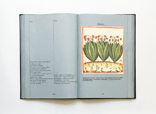 Theatrum Sanitatis Vol.1