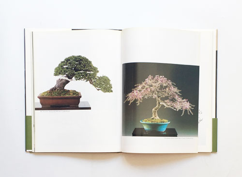 日本盆栽名品集 Classic Bonsai of Japan