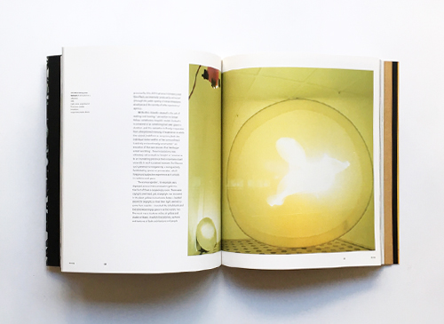 Olafur Eliasson [Phaidon Contemporary Artist Series]