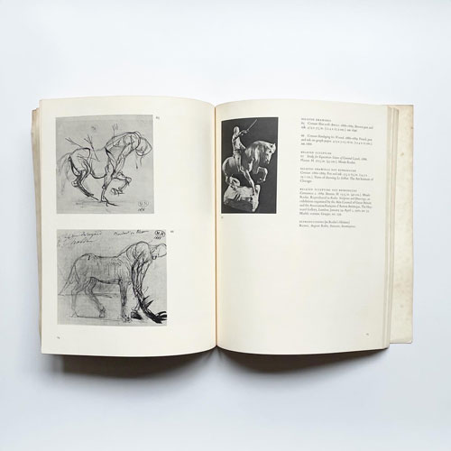 Rodin Graphics: A Catalogue Raisonne of Drypoints and Book Illustrations