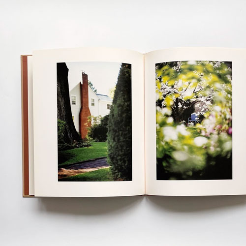 【5％OFF】 古書古本 and Maple Between Weifenbach: dessin：Terri 洋書
