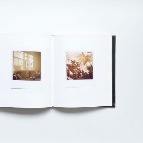 Rovert Benjamin: Notes from Quiet Life