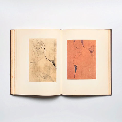 Modigliani Disegni