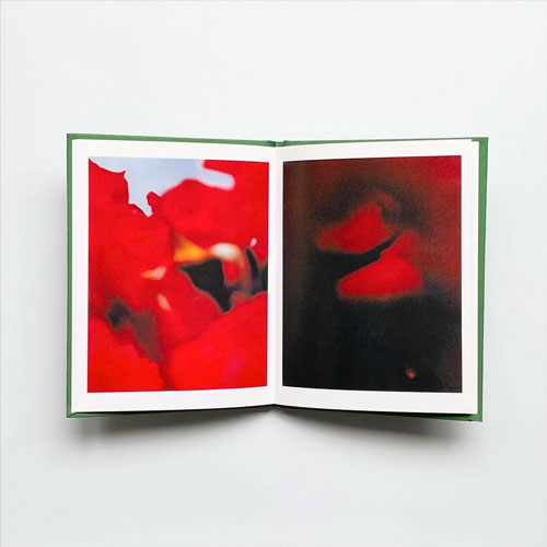 Terri Weifenbach: instruction manual no.1