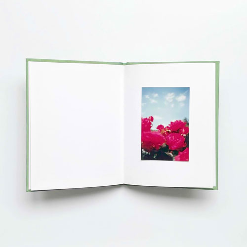 Terri Weifenbach: instruction manual no.1