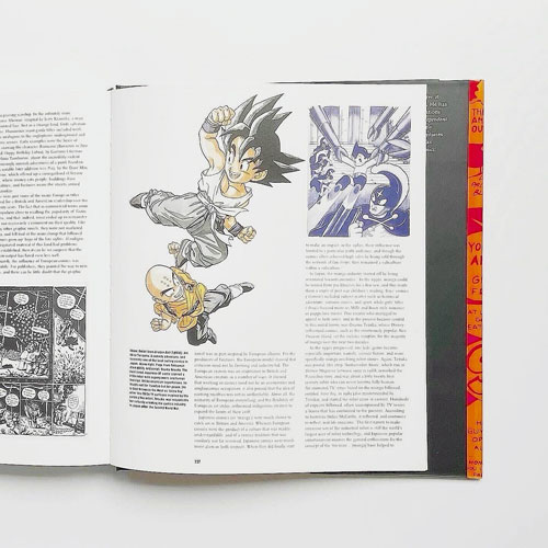 COMICS,COMIX & GRAPHIC NOVELS A HISTORY OF COMIC ART