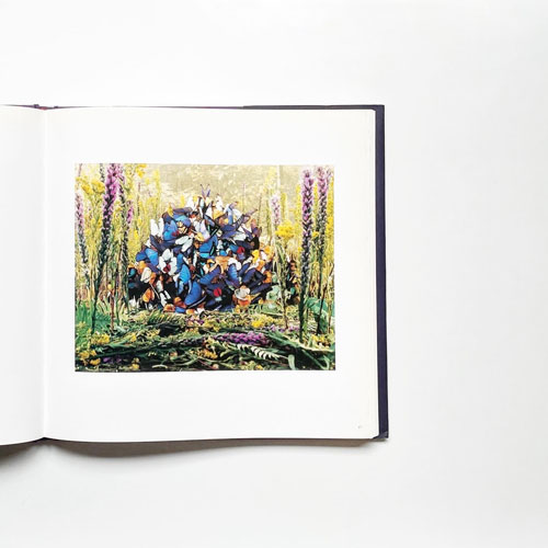 Contemporary Photography and the Garden: Deceits and Fantasies