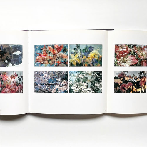 Contemporary Photography and the Garden: Deceits and Fantasies