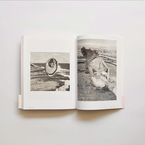 岡上淑子　フォトコラージュ　沈黙の奇蹟