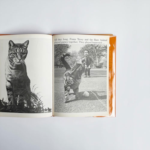 Franz Tovey and the Rare Animals ［Signed]