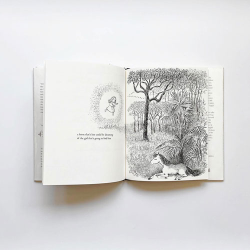 Maurice Sendak: I’ll Be You and You Be Me
