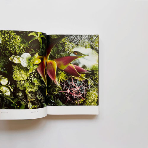 洋書ENCYCLOPEDIA OF FLOWERS 東信　English 古書古本 dessin: Encyclopedia of Flowers [English Edition]（東信