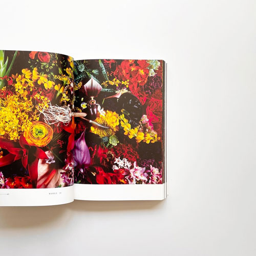 古書古本 dessin: Encyclopedia of Flowers [English Edition]（東信