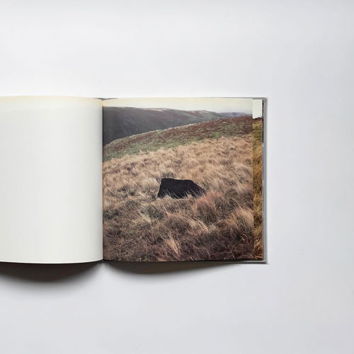 Andy Goldsworthy: Black Stones Red Pools: Dumfriesshire Winter 1994-5