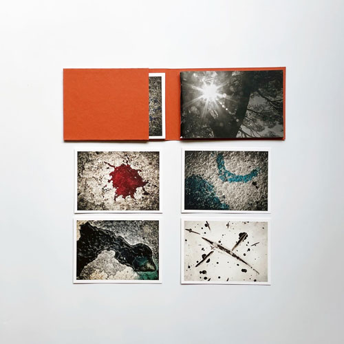 Joan Miro: Son Boter