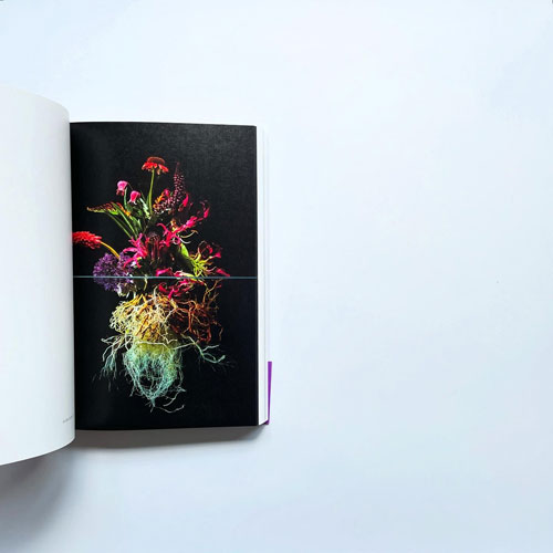 Encyclopedia of flowers IV 植物図鑑