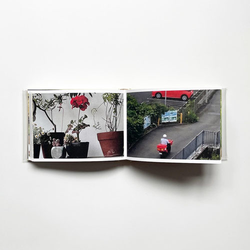 Cintia Tortosa Santisteban: Screenshots from a series of videos about a rice field and its surroundings.