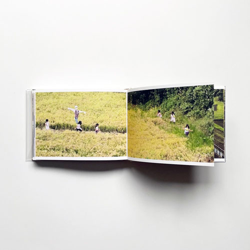 Cintia Tortosa Santisteban: Screenshots from a series of videos about a rice field and its surroundings.