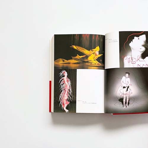 石岡瑛子　私 デザイン