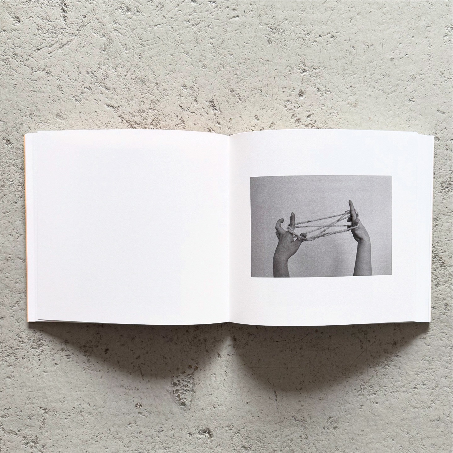 加瀬健太郎 / Kentaro Kase: ABC