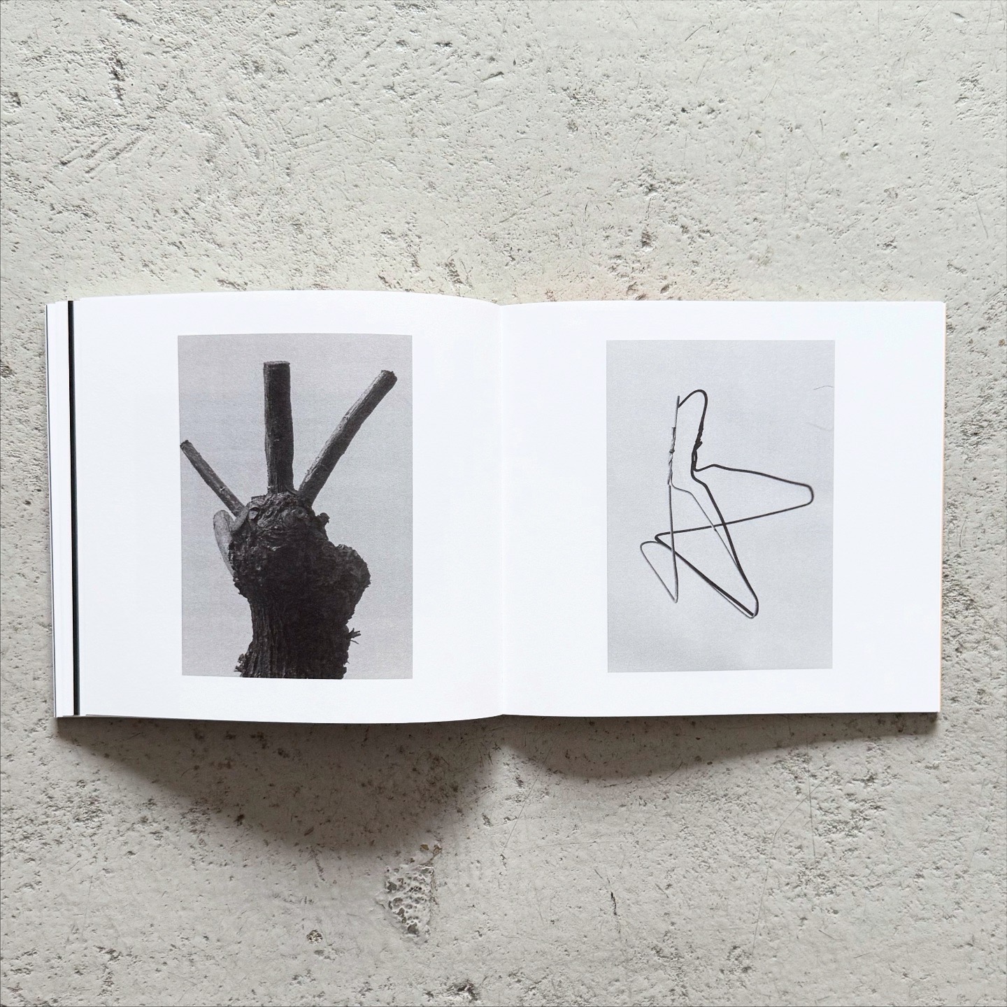 加瀬健太郎 / Kentaro Kase: ABC